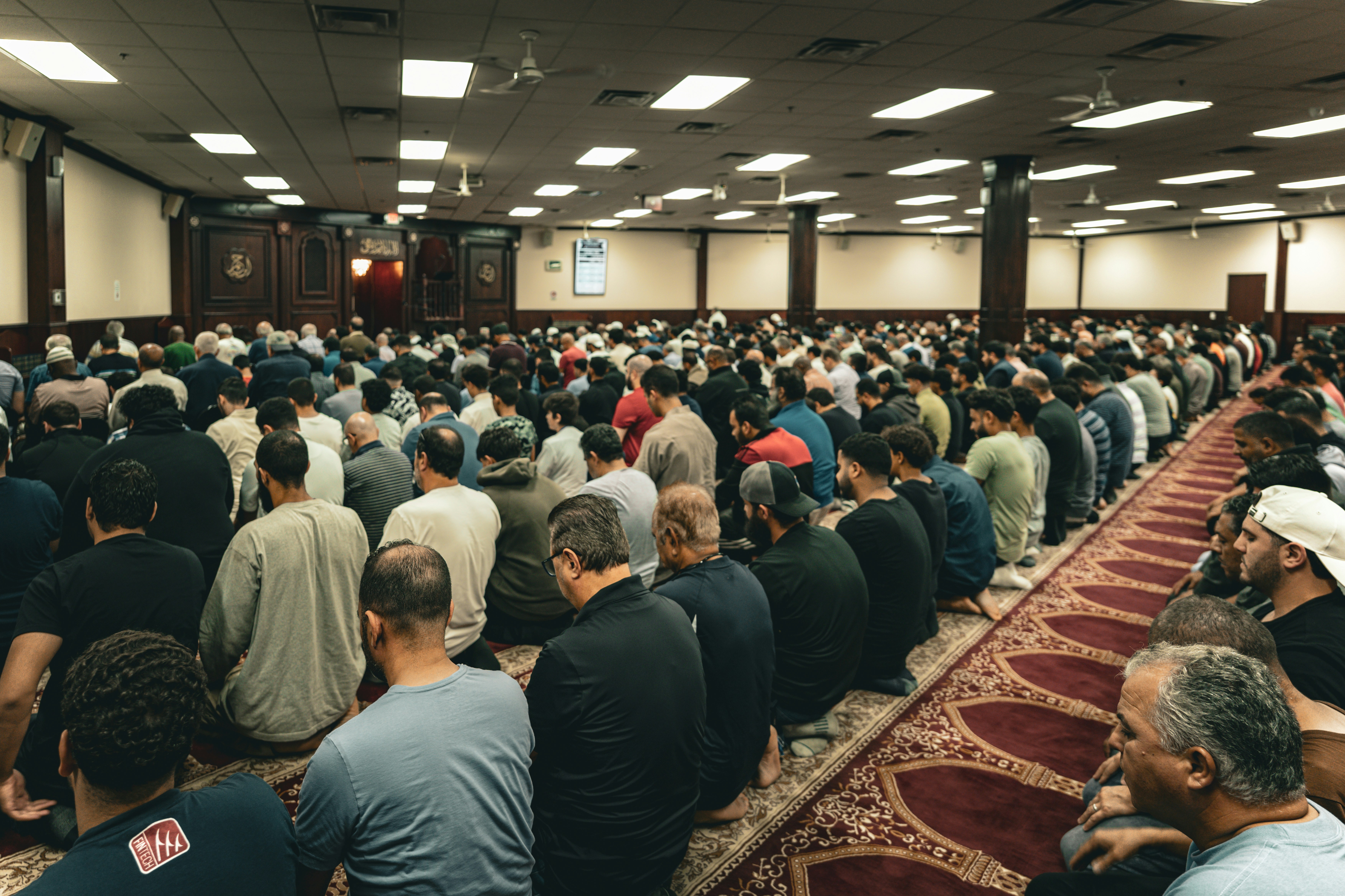 Freedom Within Submission Part 1